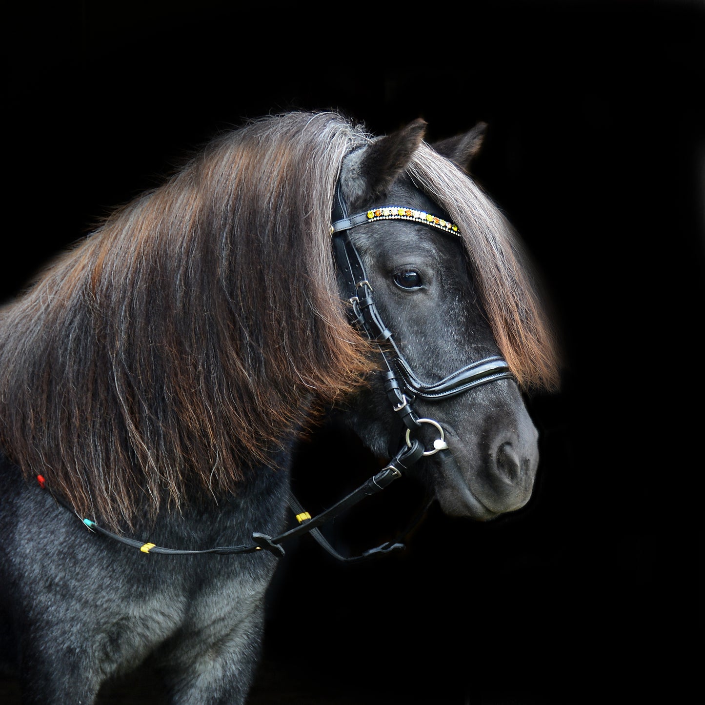 Browband "Walking On Sunshine"