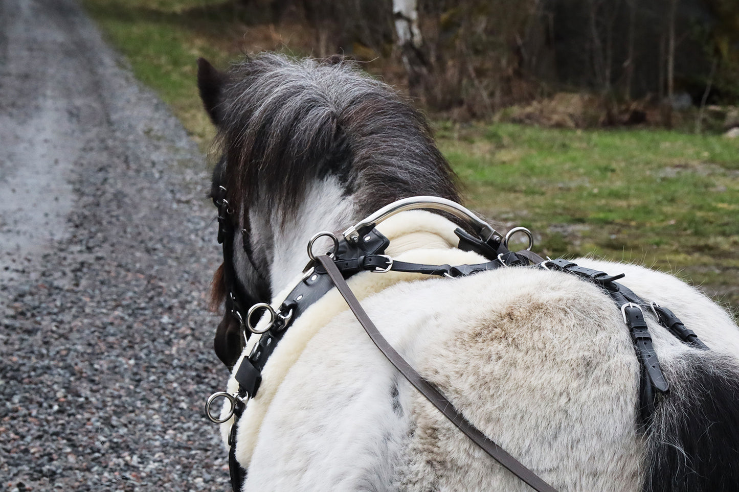 Tömkörningsgjord "Tinto" svart