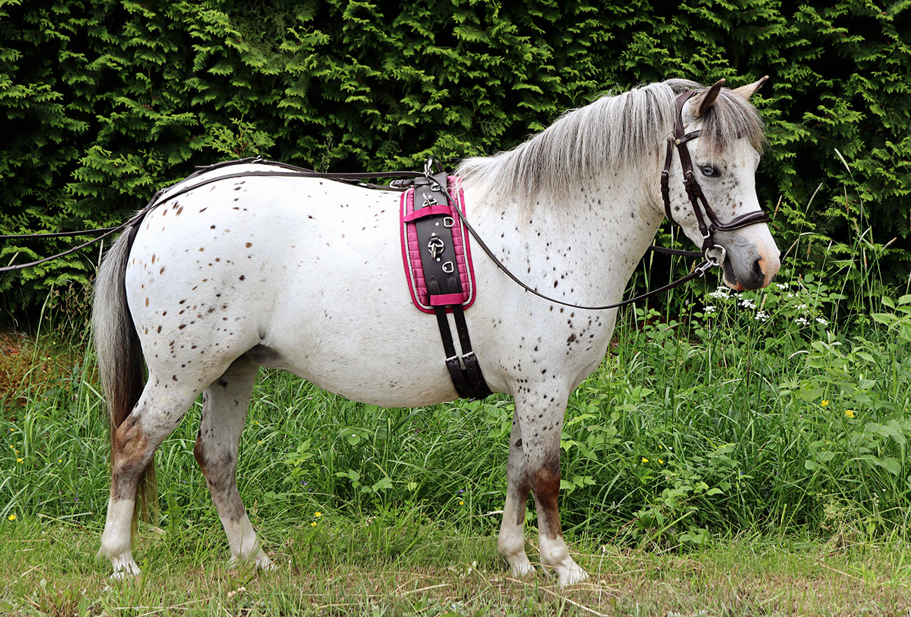 Harness pad shiny raspberry