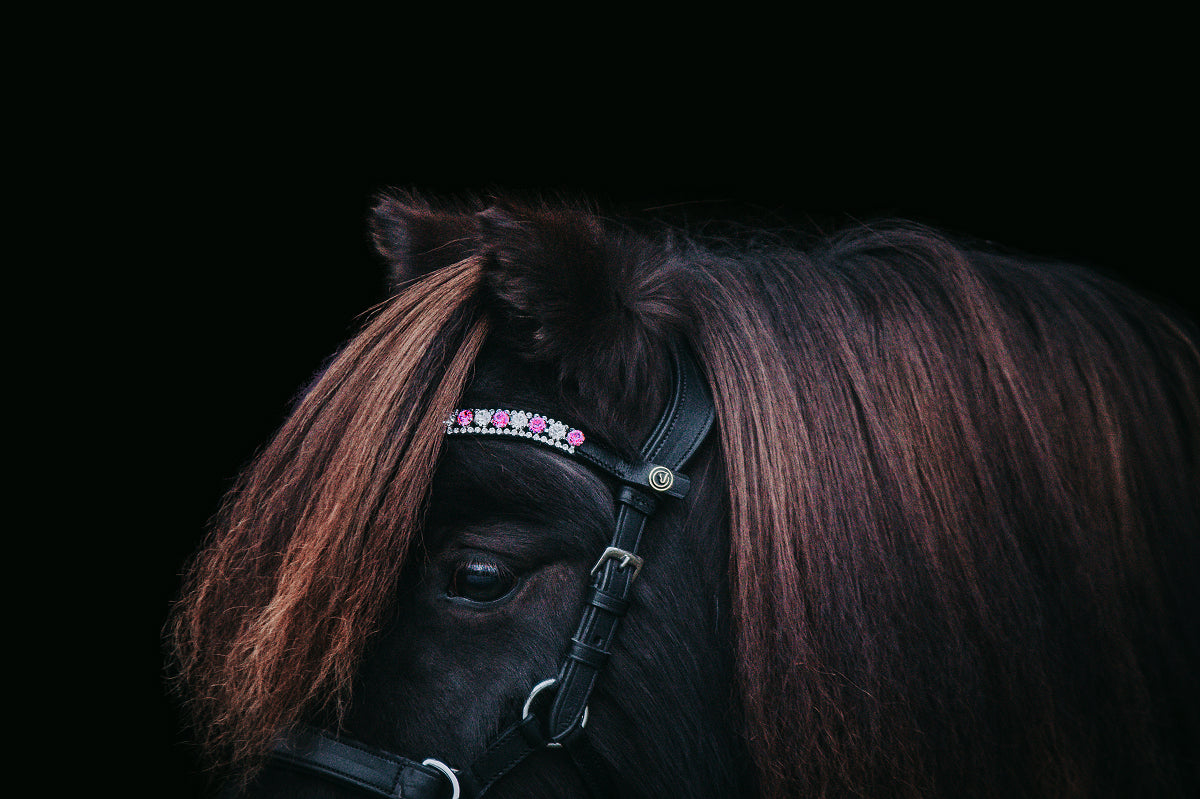 Browband "Pretty Deep Pink"