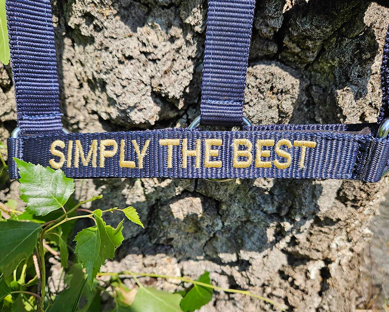 Grimma med text "Simply the best"