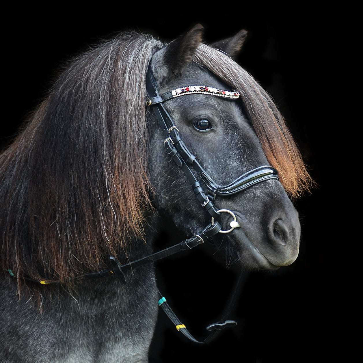 Browband "Ruby Tuesday"