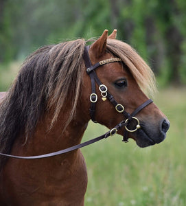 Bridle "Indigo" brown with gold buckles