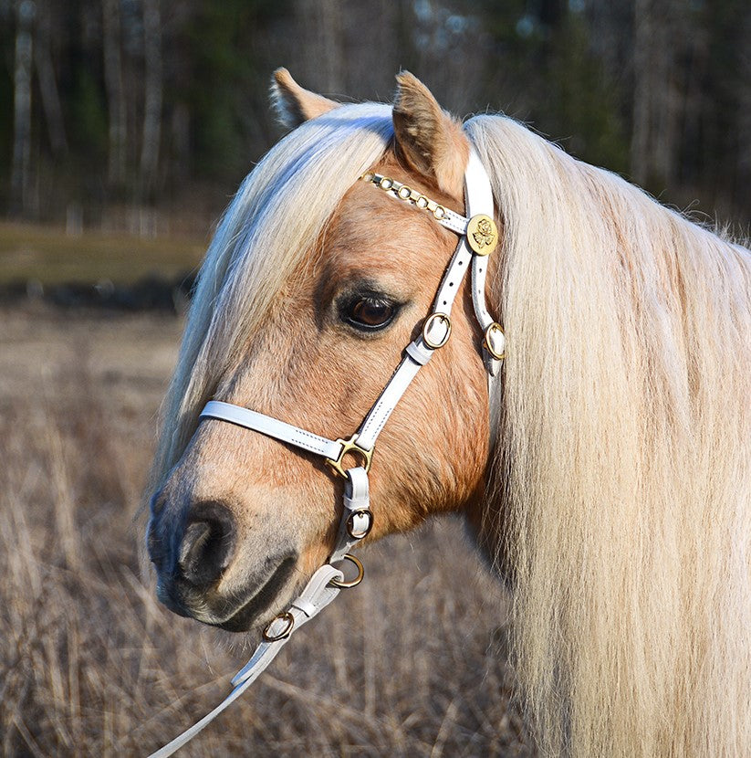 Show halter "Honey" white