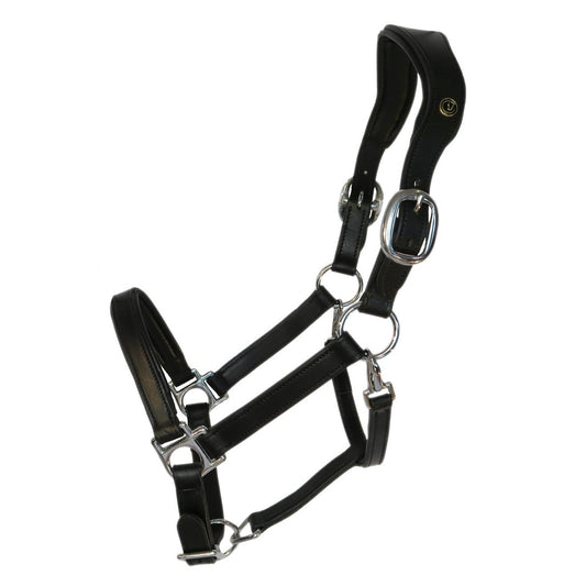 Anatomical Leather Halter "Addie" black / silver