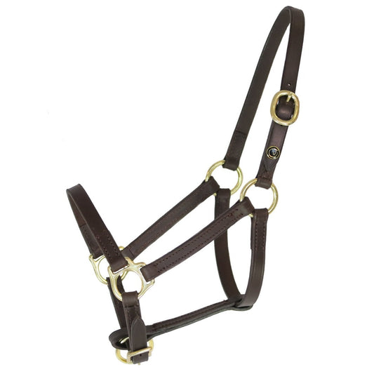 Foal halter "Jackpot" brown