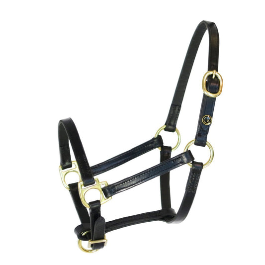 Foal halter "Jackpot" black