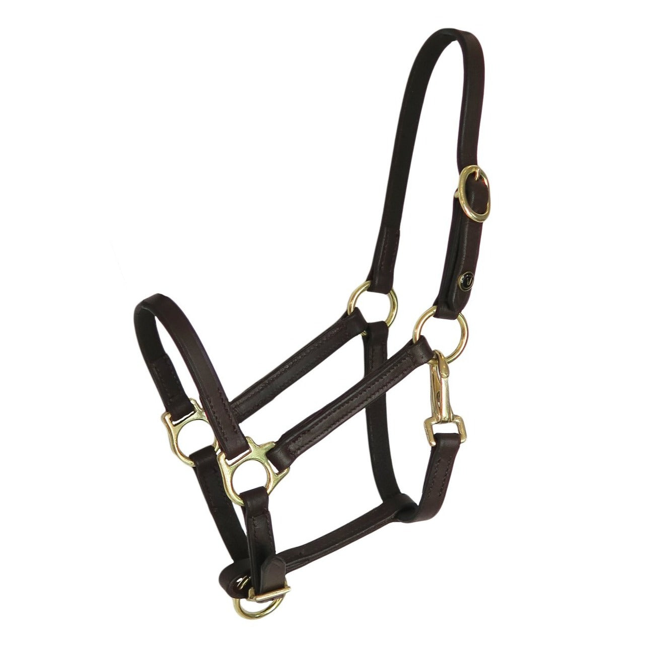 Foal halter "Jackpot" with snaphook, brown