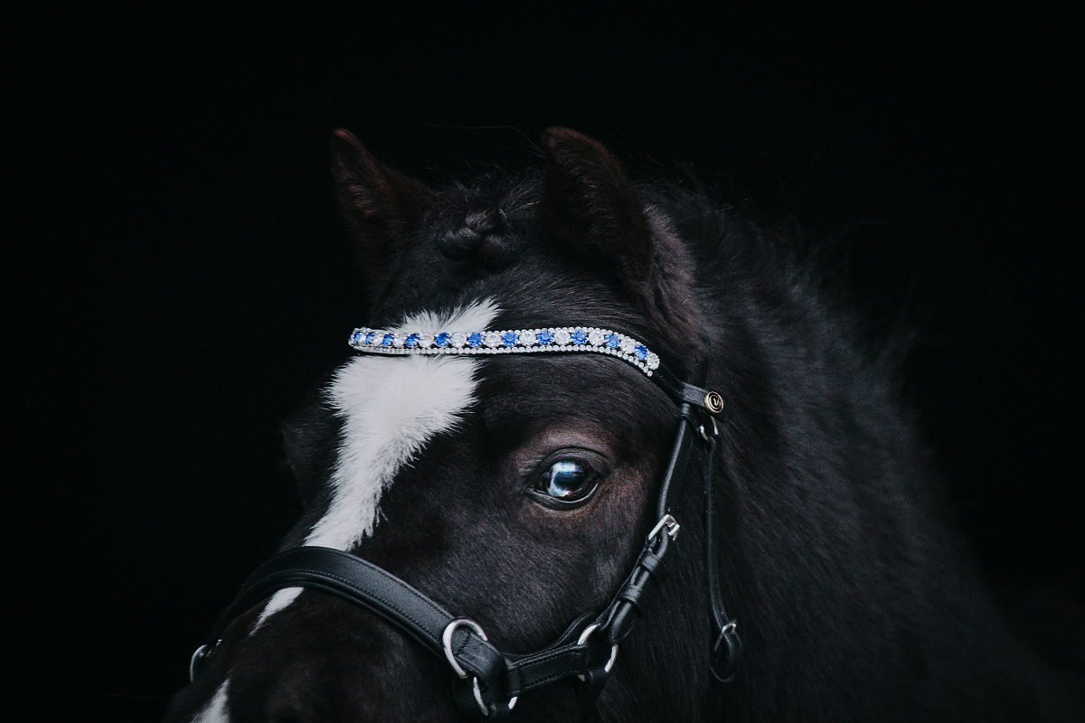 Browband "Frosted Moonlight"