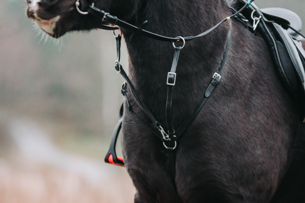 Breast plate Butter with martingale, black