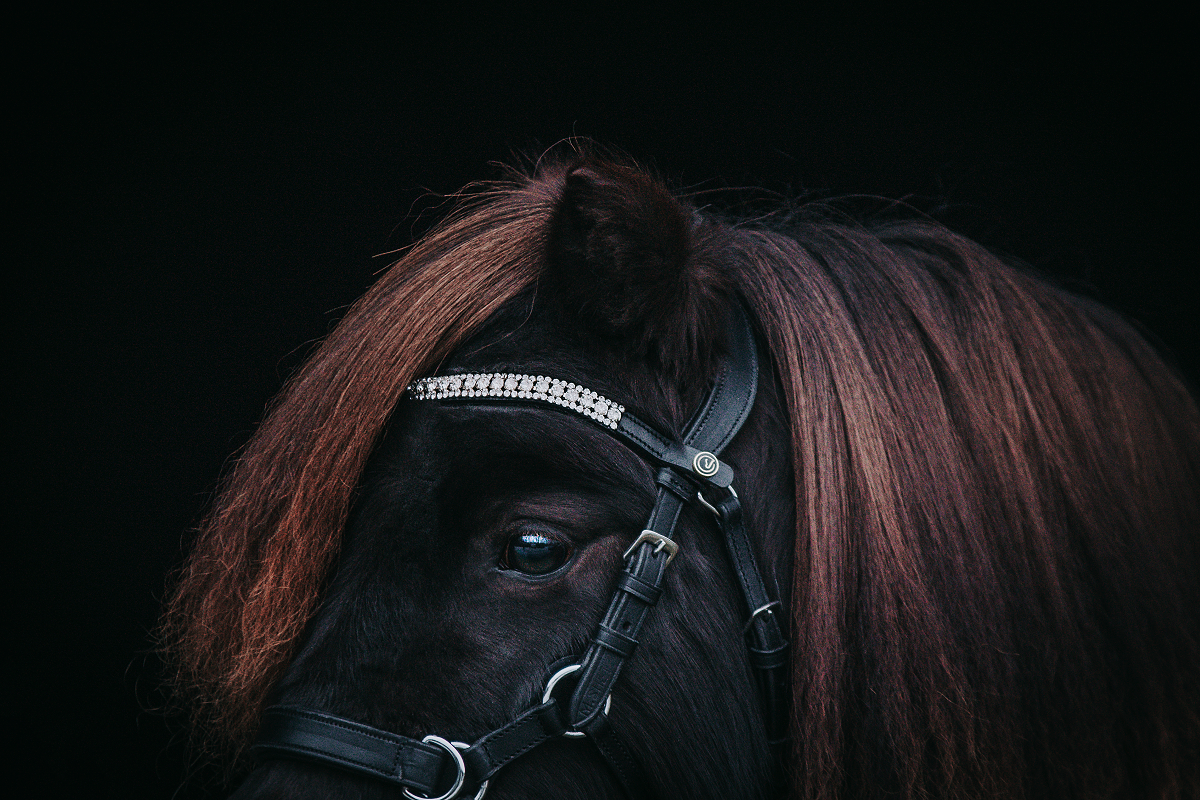 Browband "Silver Sparkle"