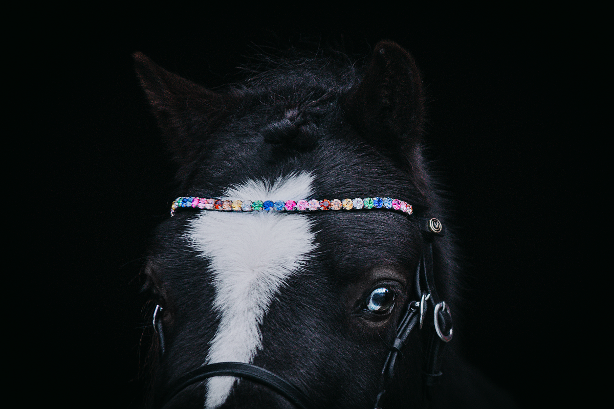 Browband "Rainbow Dazzle"