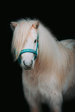 Upload image for gallery view,  Outlet Halter with text &quot;I´m a Unicorn&quot;
